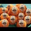 joshhutch1